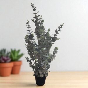 Eucalyptus Viridis - Kunstplant in pot - 91 cm hoog