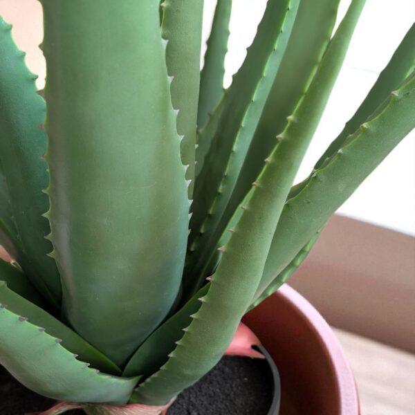Aloë Vera - kunstplant - zware kwaliteit - 67 cm hoog- plant met pot - Afbeelding 2
