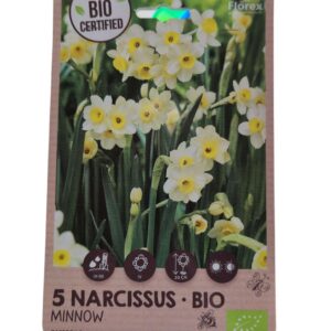 Bio Narcis Minnow kopen – biologische bloembollen
