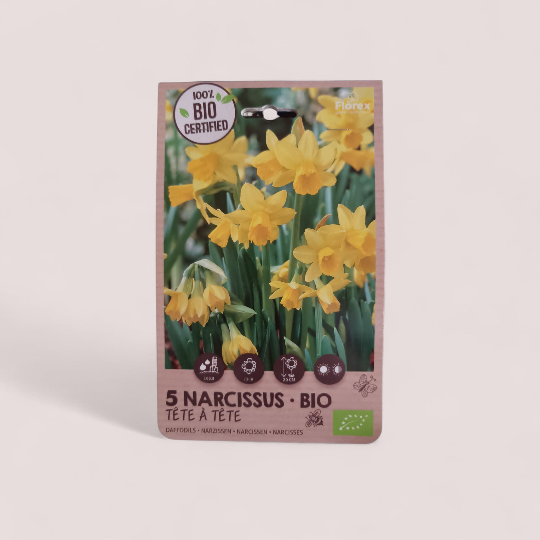 Bio Narcis tete á tete kopen – biologische bloembollen